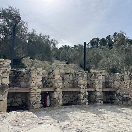Vina Zarzarrosa אוסונה מראה חיצוני תמונה